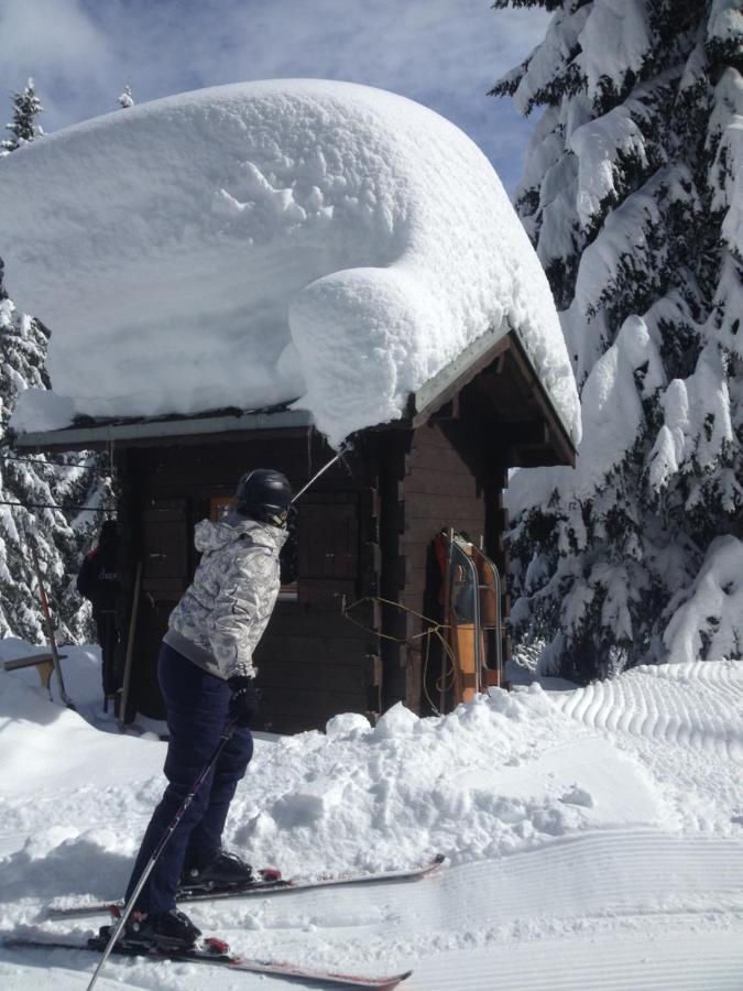 Heerlijke Wandel Of Ski Vakantie In Torgon Portes Du Soleil Exteriér fotografie